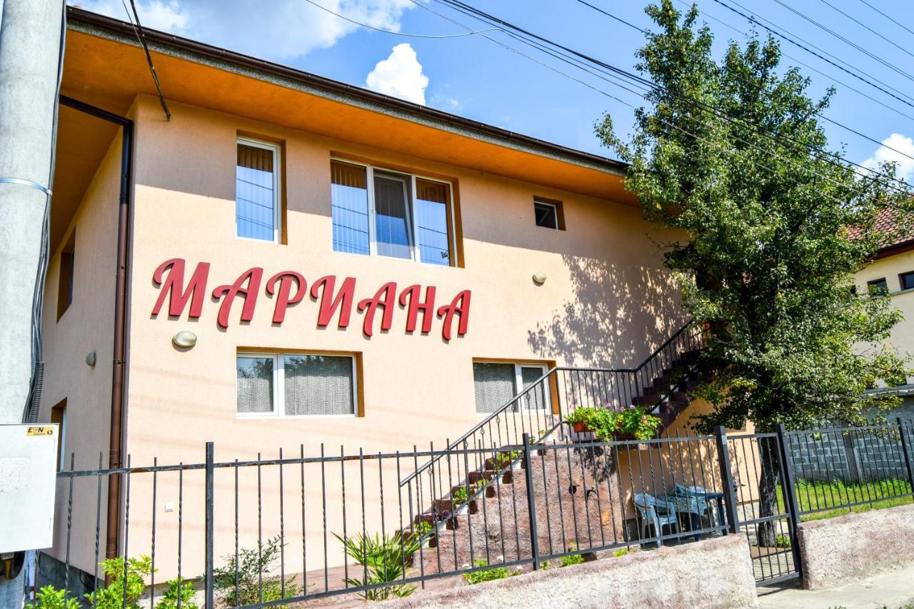 Mariana Apartment Pavel Banja Exteriör bild